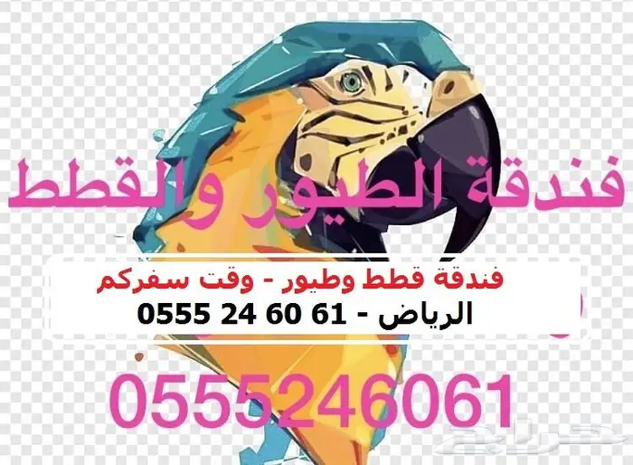 فندقة قطط وقت سفركم 6061 24 0555 طريق الملك عبدالعزيز 3