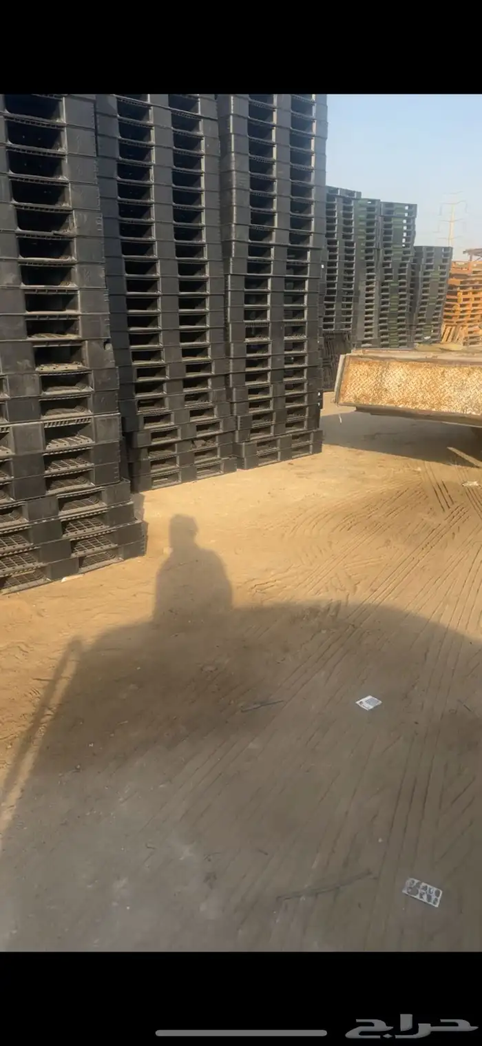 طبالي بنوعها 1