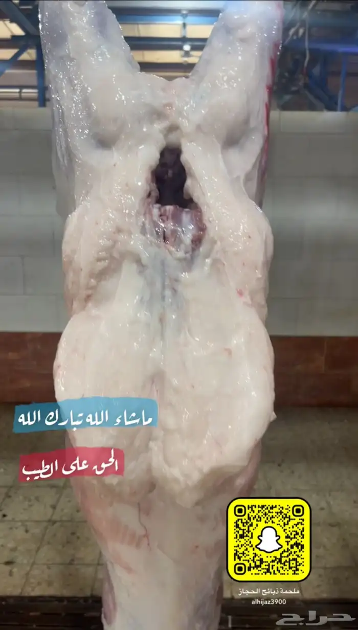ملحمة ذبائح الحجاز-مخطط البدراني-بجوار صيدلية المجتمع 5