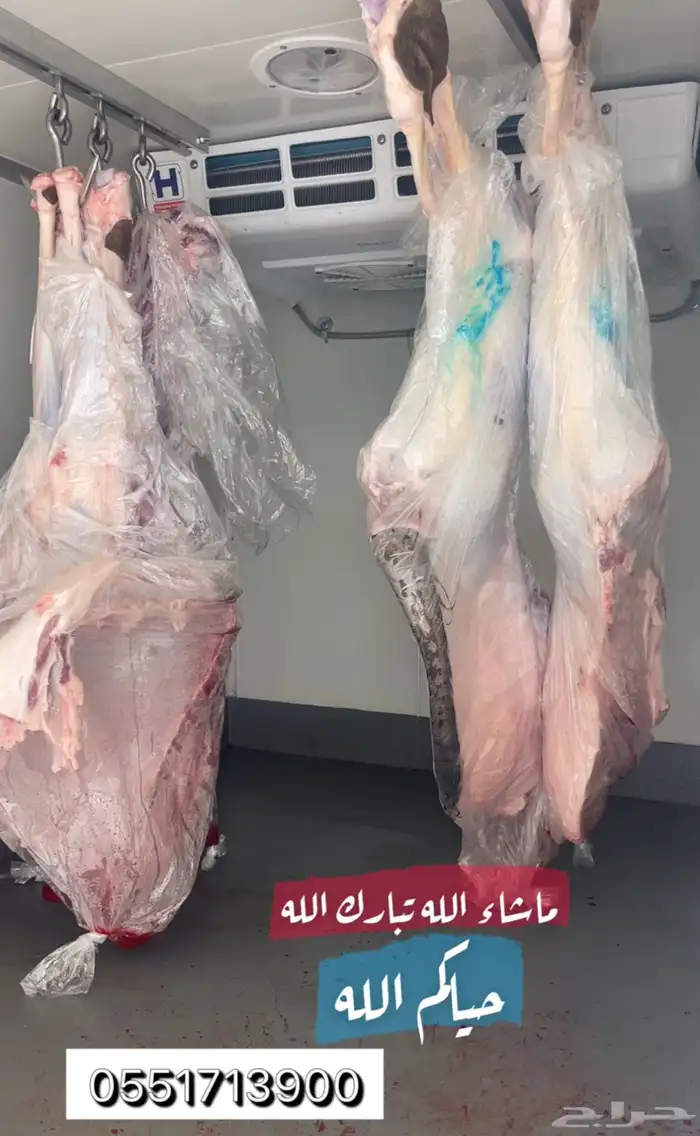 ملحمة ذبائح الحجاز-مخطط البدراني-بجوار صيدلية المجتمع 2