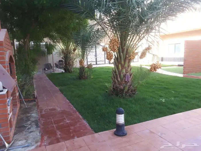 استراحة ريحانة الريف للإيجار العزيزيه الخبر 5