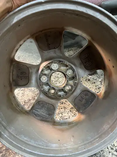 جنوط فكتوريا موديل 2011 4