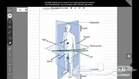 دكتور متخصص الطب وشرح جميع المواد وحل الواجبات والأبحاث 1