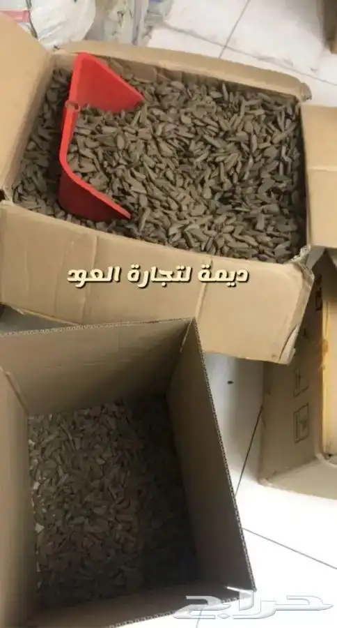 عوود جملة الجملة 7