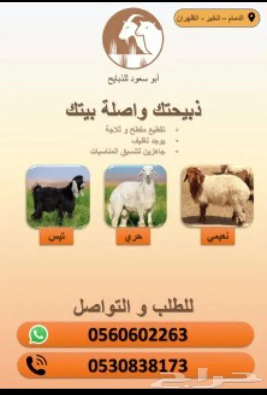 ذبيح بأسعار مناسبة 1