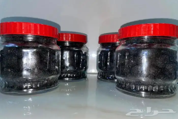 معمول دوسري الدمام الخبر الظهران 2