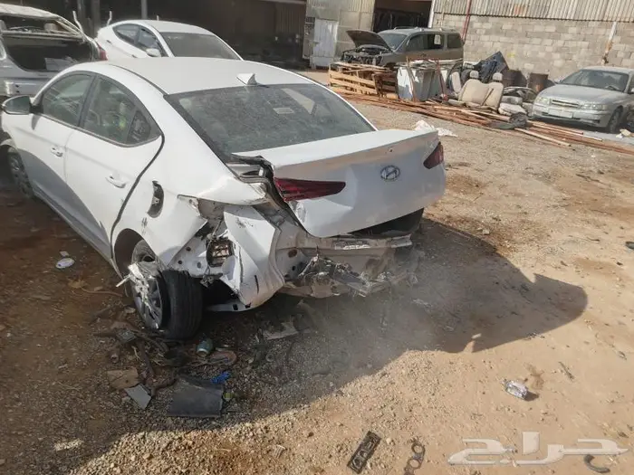 النتراء 1