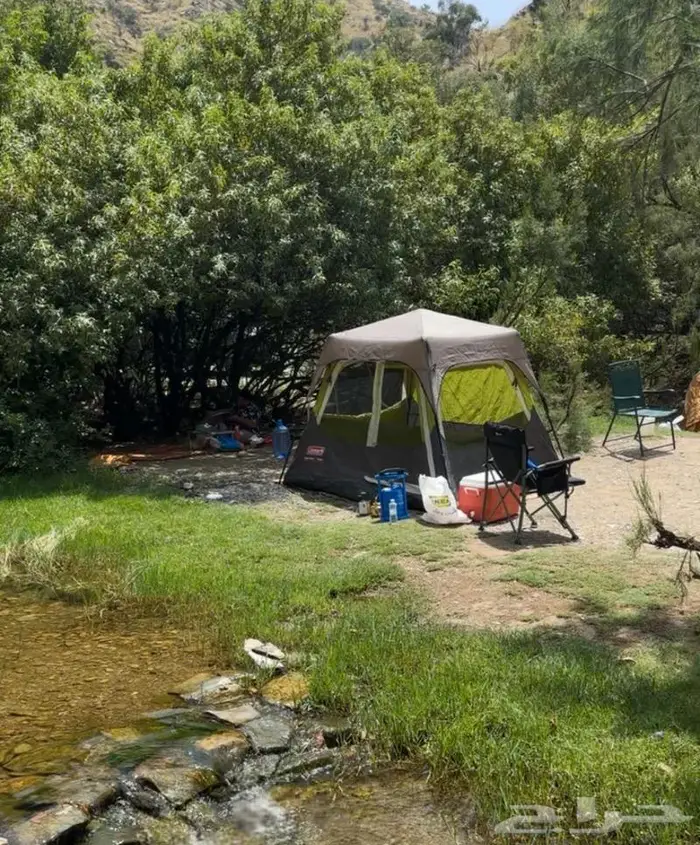 خيمة كولمان 4 اشخاص coleman tent for 4 person 4