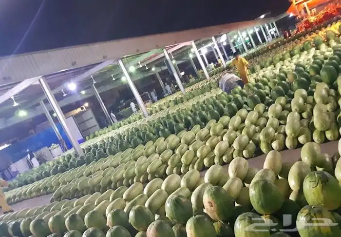 تسويق وتجارة الخضار والفواكه والتمور بأنواعها 3