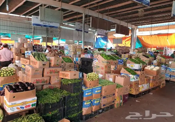 تسويق وتجارة الخضار والفواكه والتمور بأنواعها 0