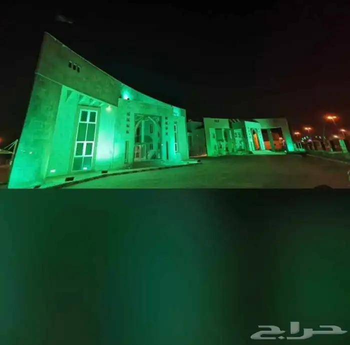 اضاءة اليوم الوطني 3