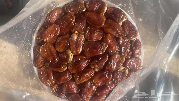 برني العيص الفاخر 12