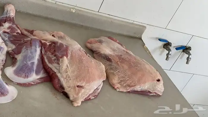 ذبايح مزرعة مرابي عسير 11