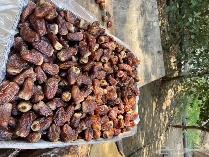 برني العيص الفاخر 9