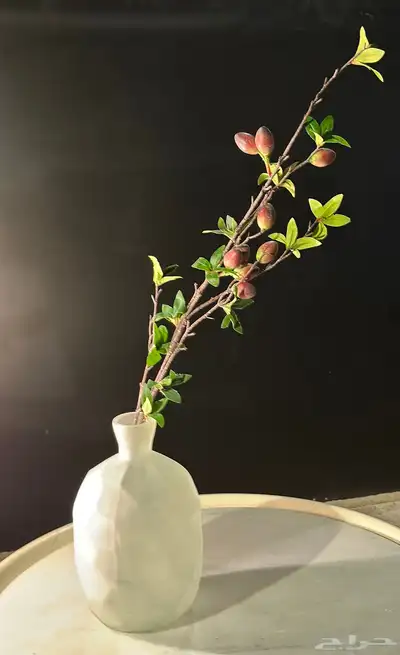 حفلات و مناسبات تأجير اكسسوارات وكنبات 56