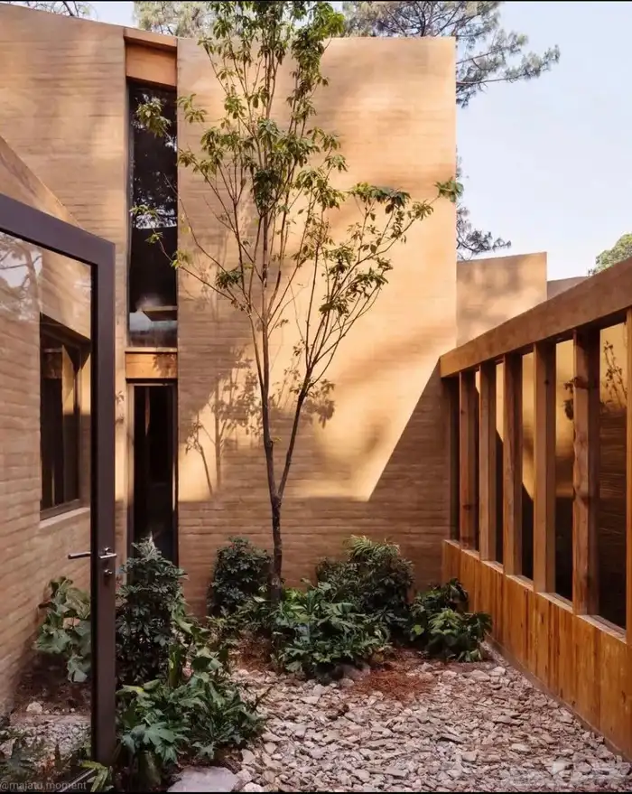 نخيل واشنطونيا للبيع كميات كبيره للمشاريع 0