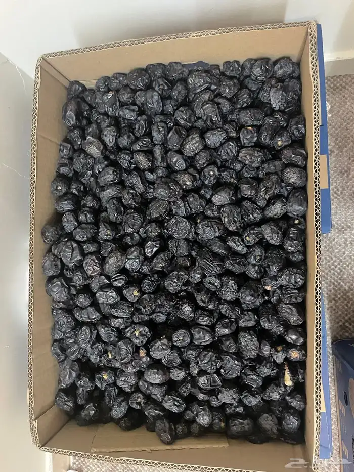 عجوه وقهوة شماليه وسعوديه 1