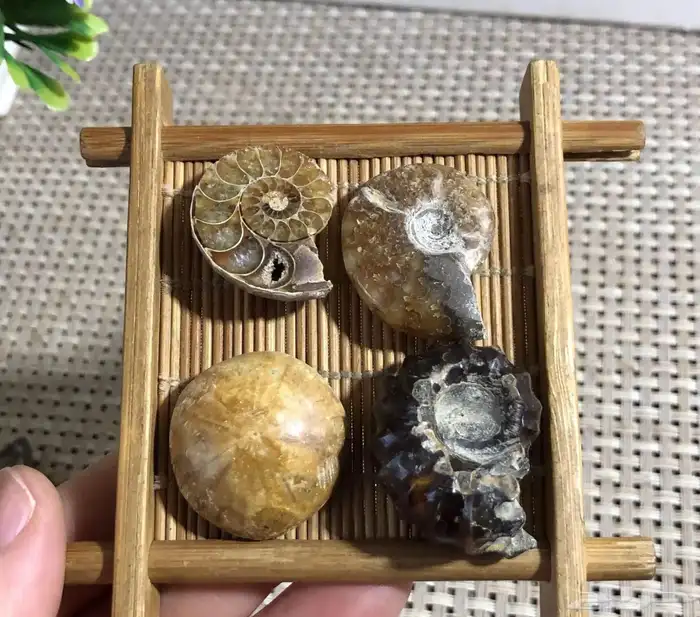 احجار طبيعية 3