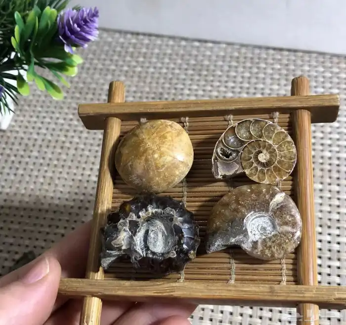 احجار طبيعية 2