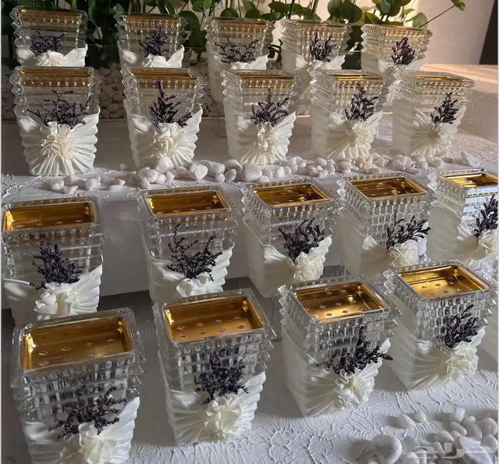 توزيعات مواليد 1