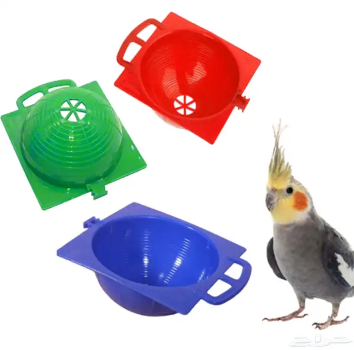 متجر Modi Birds 4