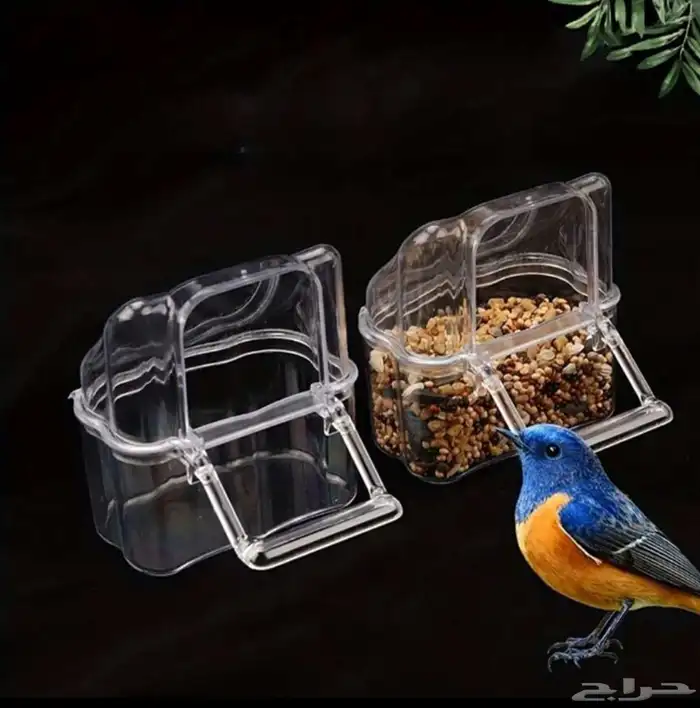 متجر Modi Birds 2