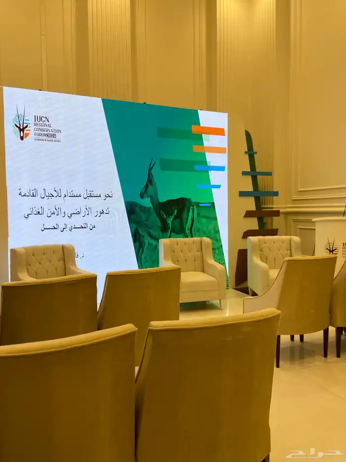 تأجير ستي كلر واضاءات افتتاح المحلات 4