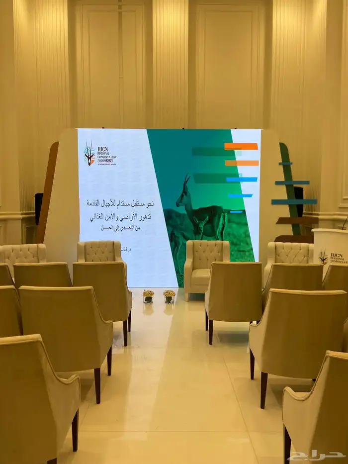 تأجير ستي كلر واضاءات افتتاح المحلات 5