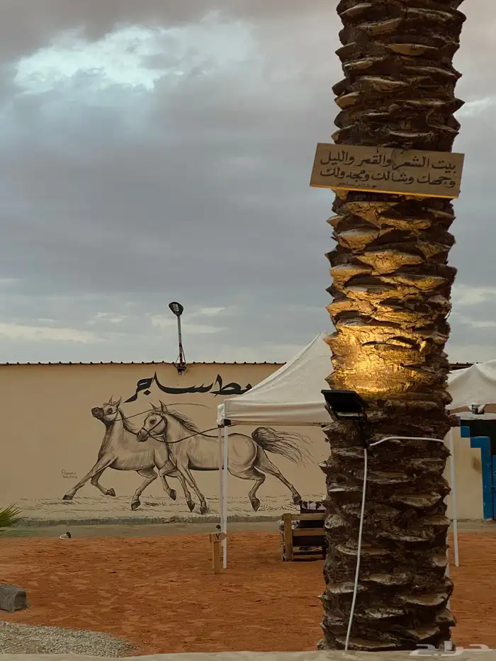 غرف خيل إيواء خيل بواديك 2