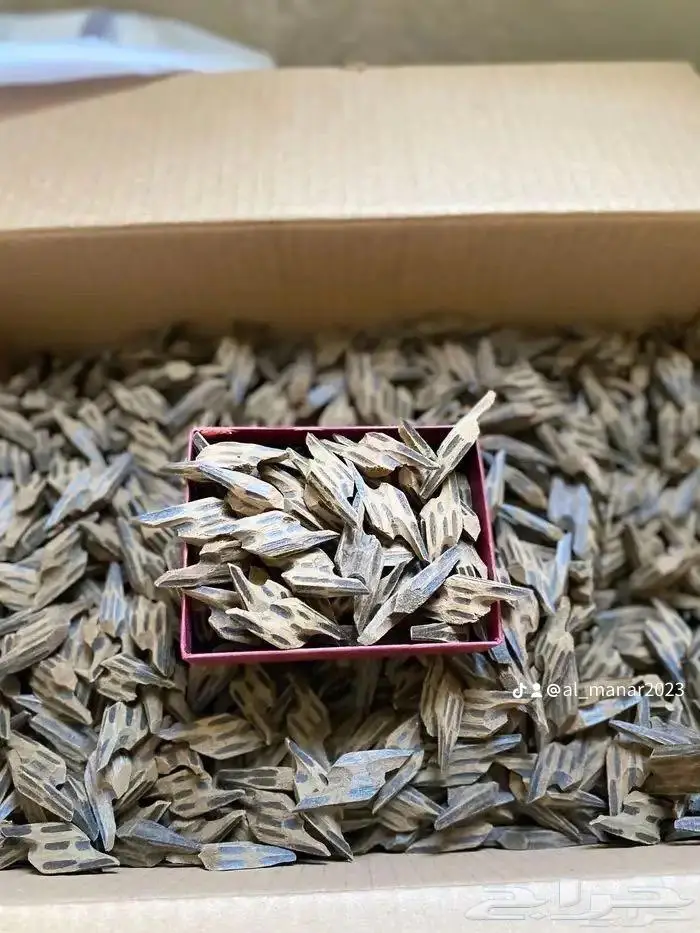 عود (كلمنتان الازرق عودمروكي وغيرها) 2