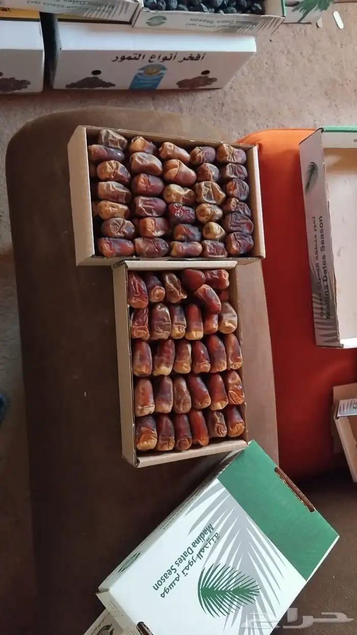 عجوه وقهوة شماليه وسعوديه 2