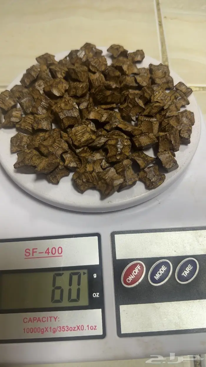 عود (كلمنتان الازرق عودمروكي وغيرها) 3