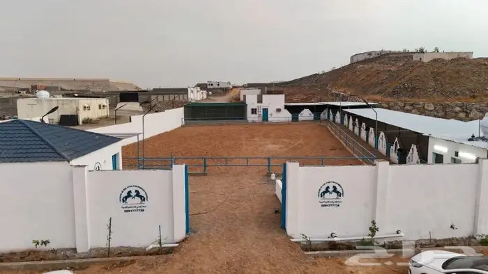 مربط نواصي العز لايواء الخيل والتدريب 2