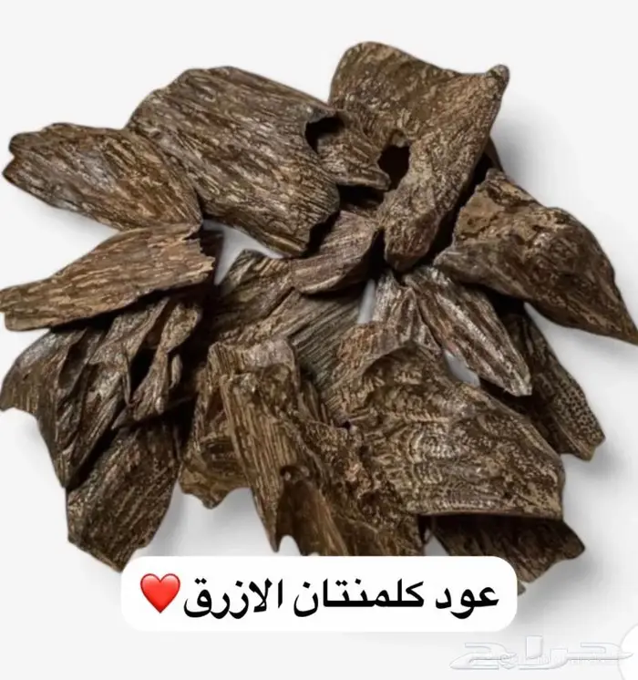 عود (كلمنتان الازرق عودمروكي وغيرها) 1