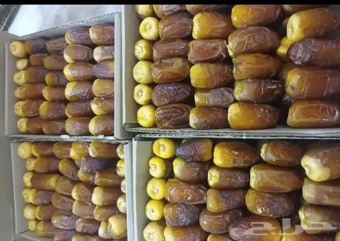 عجوه وقهوة شماليه وسعوديه 6