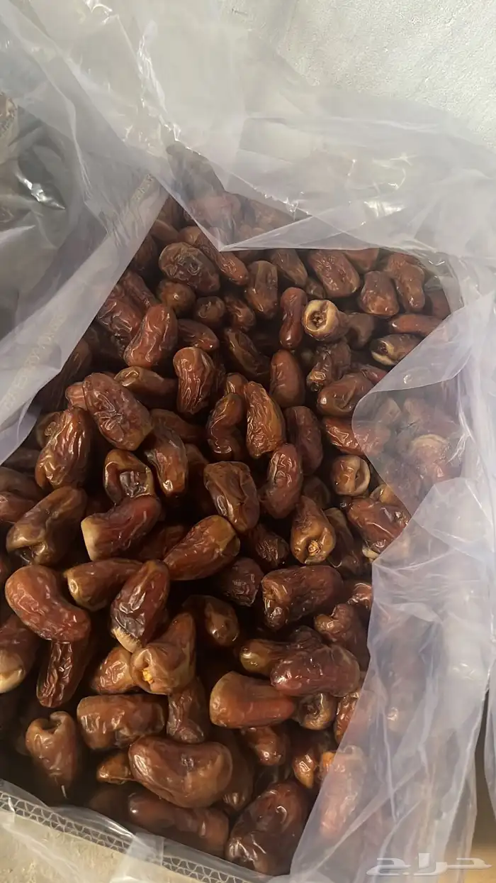 عجوه وقهوة شماليه وسعوديه 3