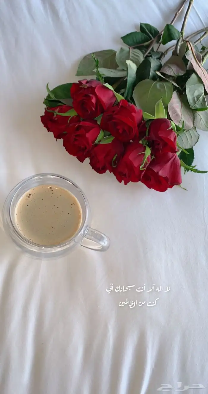 تنسيق حفلات 8