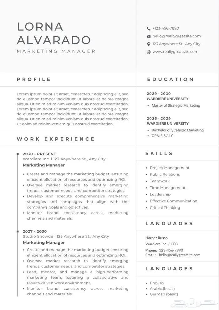 تصميم سيرة ذاتية CV 6