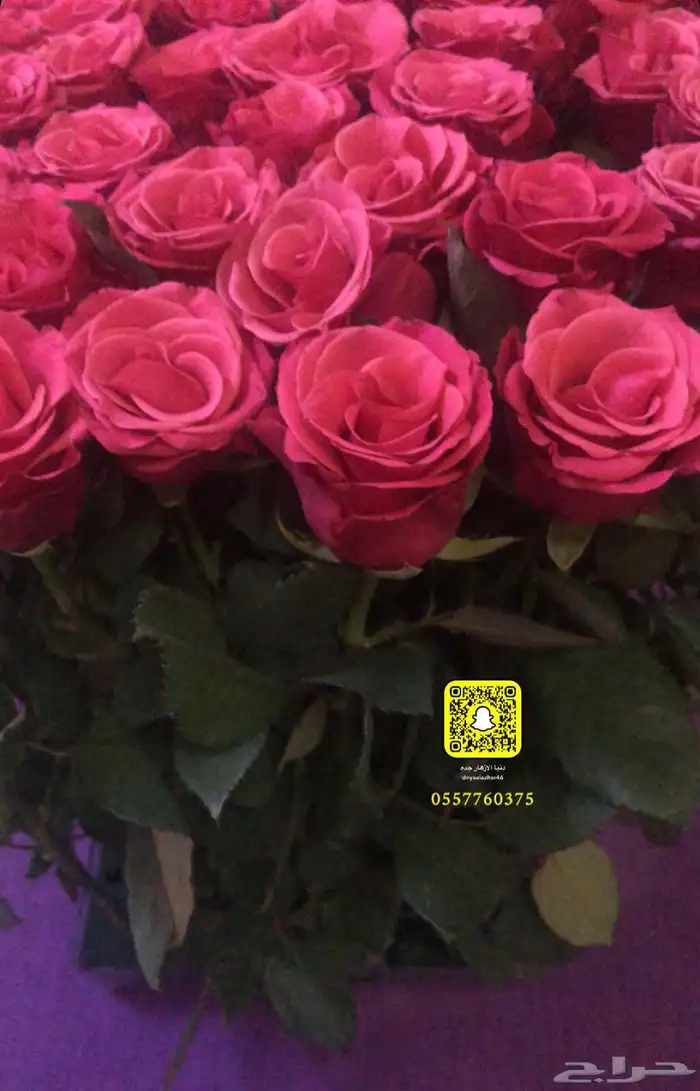 دنيا الأزهار لبيع الفل البلدي والورود الطبيعيه 19