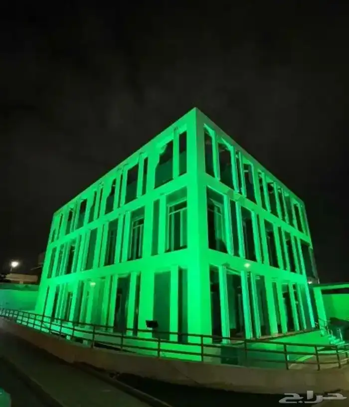 كشافات ستي كلر بيمات إضاءات اليوم الوطني 4