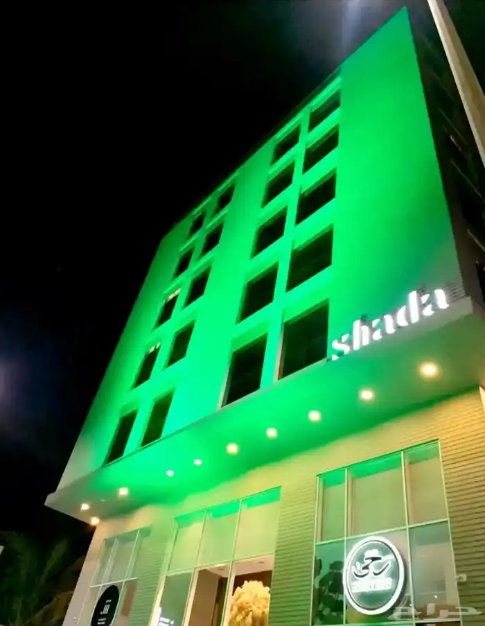 كشافات ستي كلر بيمات إضاءات اليوم الوطني 7