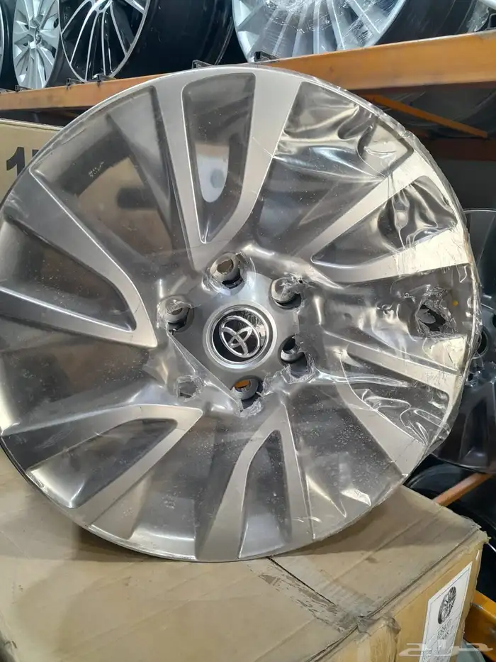 جنوط فورشنر 2023 1