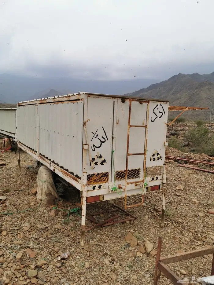 عربية نحل 0