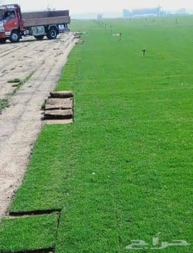اجود انواع نجيلة مع التركيب و التوصيل 2