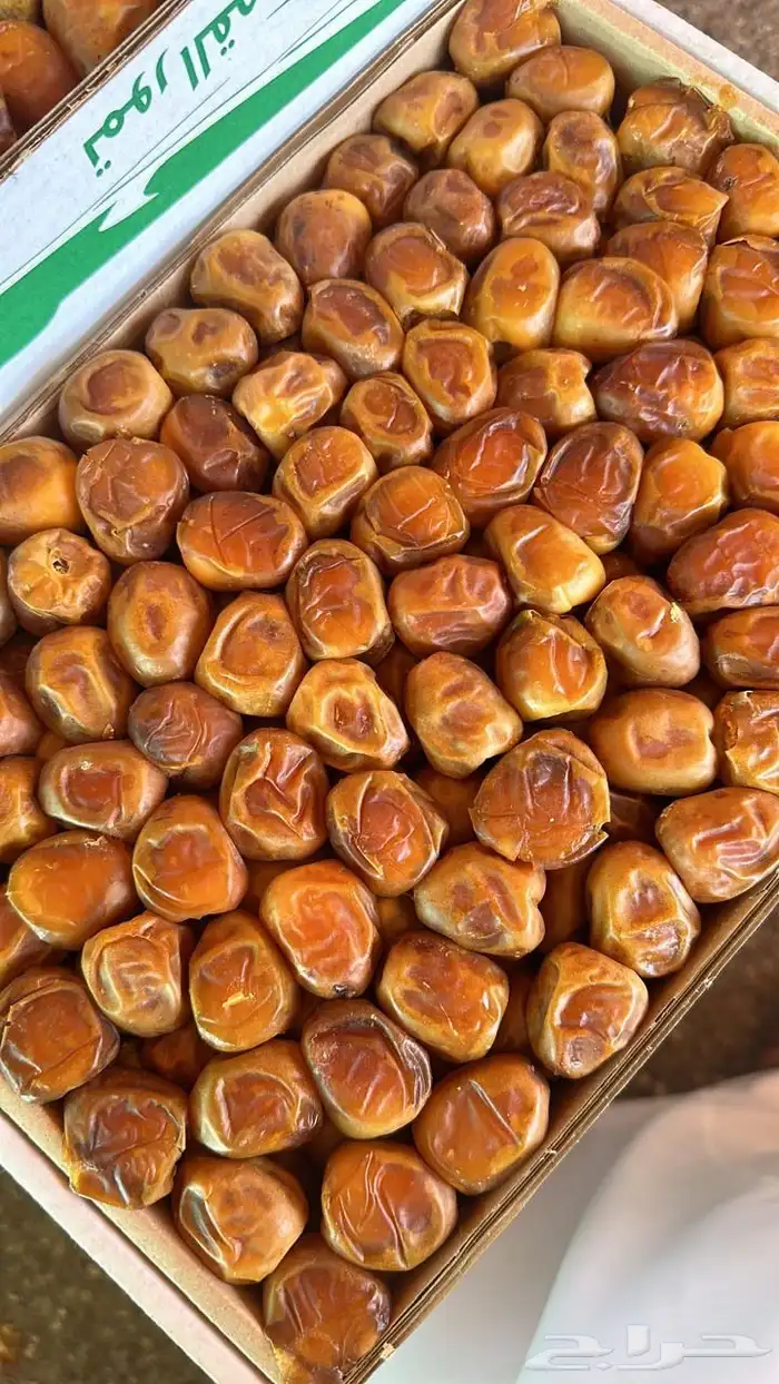 سكري فاخر 3