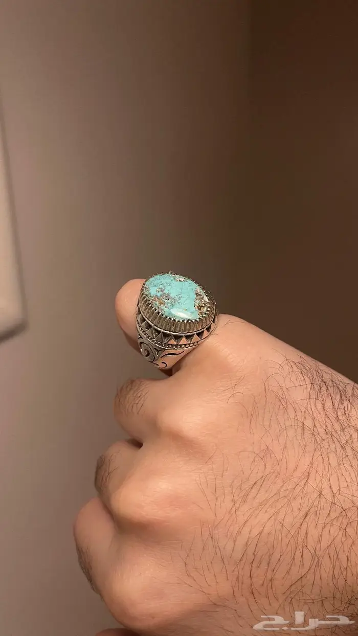 فيروز نيشابوري إيراني طبيعي 1 9