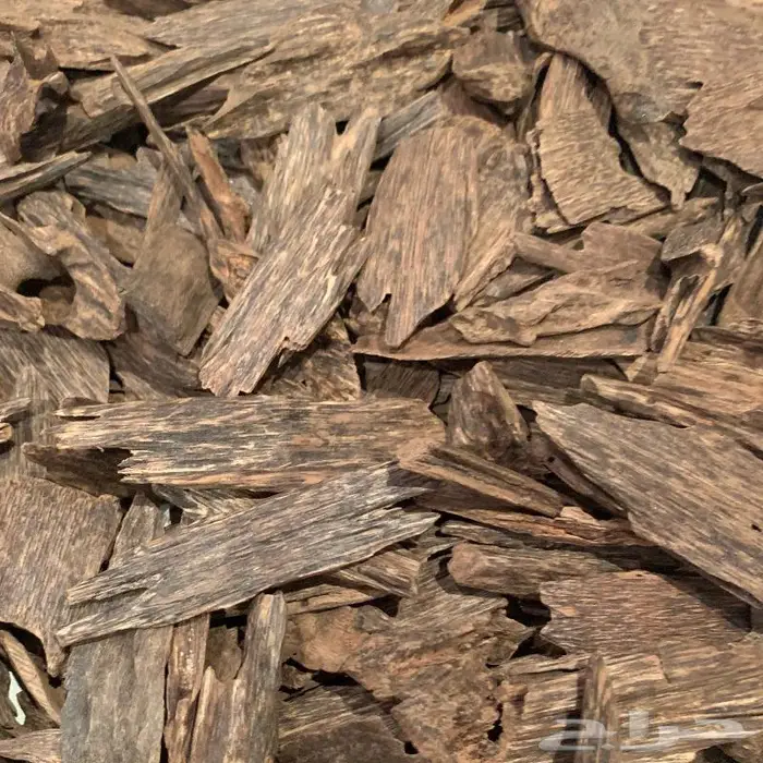 عود ماليزي دبل سوبر فاخر 0