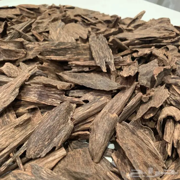 عود ماليزي دبل سوبر فاخر 1