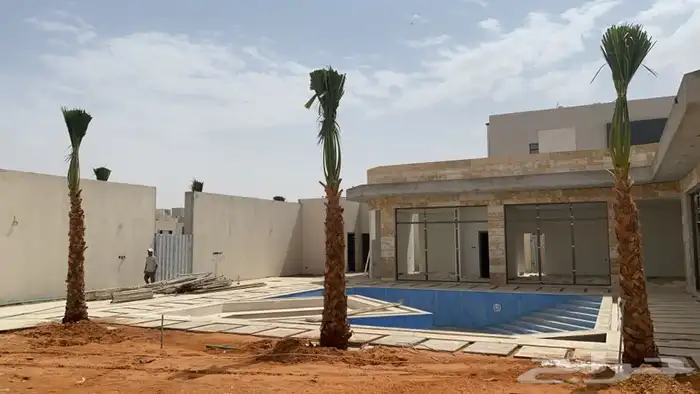 نخل واشنطني زينه للبيع باسعار مناسبة 11