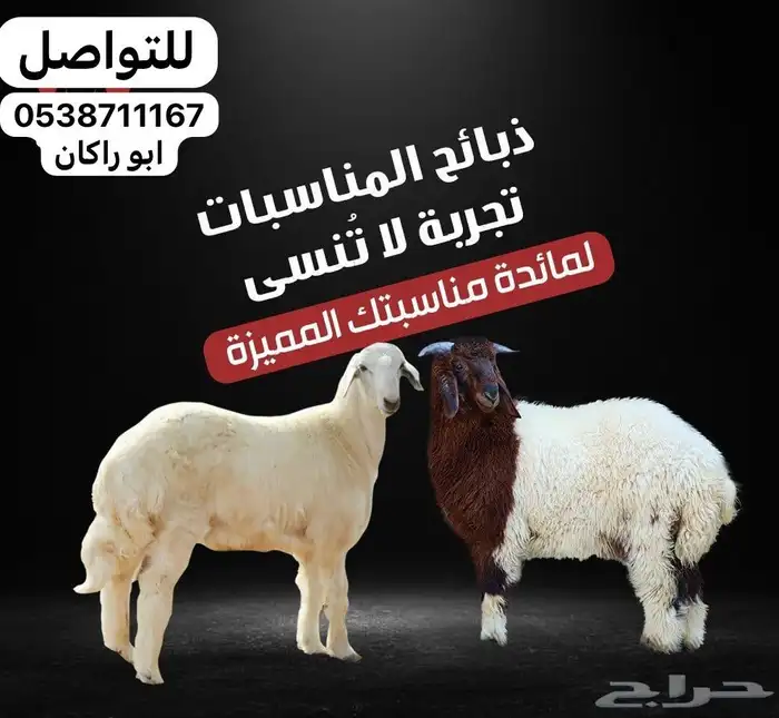 ذبايح بري تمايم خرفان ثلاجه مشروطه 0